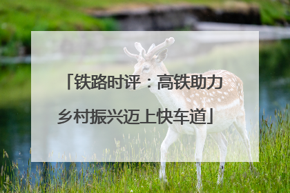 铁路时评：高铁助力乡村振兴迈上快车道