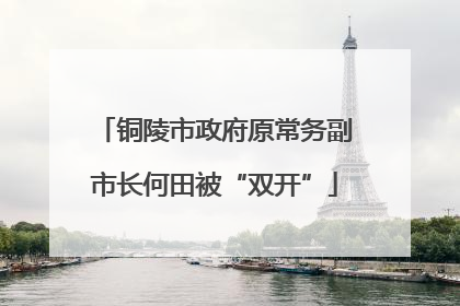 铜陵市政府原常务副市长何田被“双开”