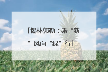 锡林郭勒：乘“新”风向“绿”行