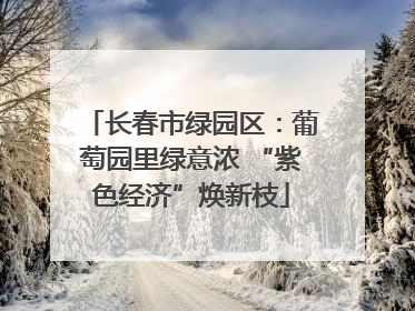 长春市绿园区：葡萄园里绿意浓 “紫色经济”焕新枝