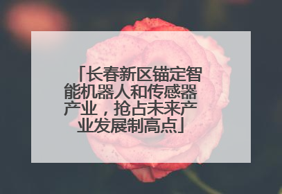 长春新区锚定智能机器人和传感器产业，抢占未来产业发展制高点