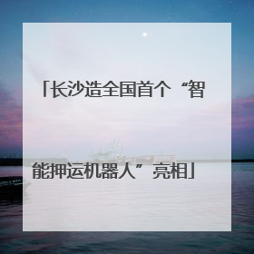 长沙造全国首个“智能押运机器人”亮相