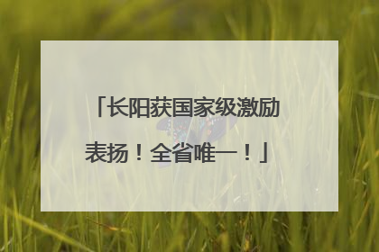 长阳获国家级激励表扬！全省唯一！