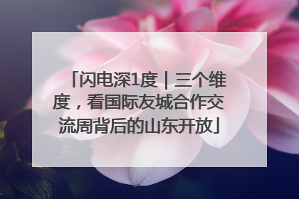 闪电深1度｜三个维度，看国际友城合作交流周背后的山东开放