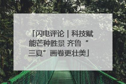 闪电评论｜科技赋能芒种胜景 齐鲁“三夏”画卷更壮美