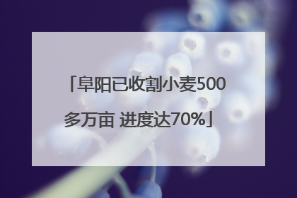 阜阳已收割小麦500多万亩 进度达70%