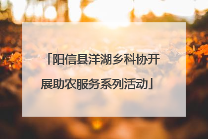 阳信县洋湖乡科协开展助农服务系列活动