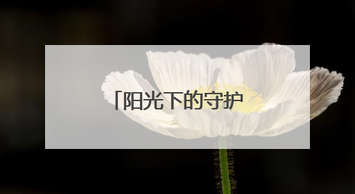 阳光下的守护——北京公安法治一线观察