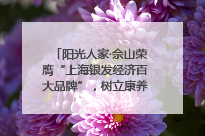 阳光人家·佘山荣膺“上海银发经济百大品牌”，树立康养行业新标杆