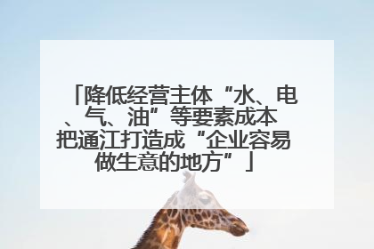 降低经营主体“水、电、气、油”等要素成本 把通江打造成“企业容易做生意的地方”
