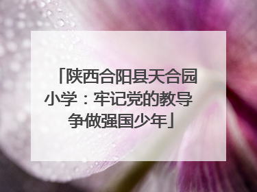 陕西合阳县天合园小学：牢记党的教导 争做强国少年