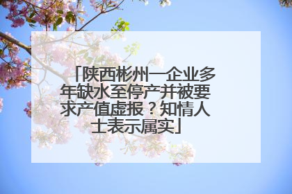 陕西彬州一企业多年缺水至停产并被要求产值虚报？知情人士表示属实