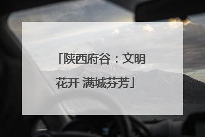 陕西府谷：文明花开 满城芬芳