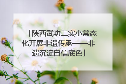 陕西武功二实小常态化开展非遗传承——非遗沉淀自信底色