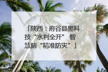 陕西：府谷县黑科技“水利全开” 智慧脑“精准防灾”