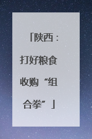 陕西：打好粮食收购“组合拳”