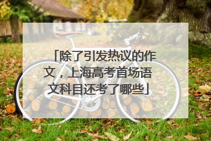 除了引发热议的作文，上海高考首场语文科目还考了哪些