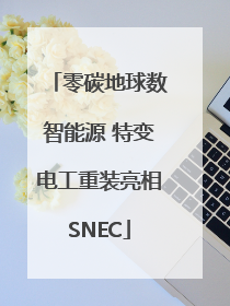 零碳地球数智能源 特变电工重装亮相SNEC