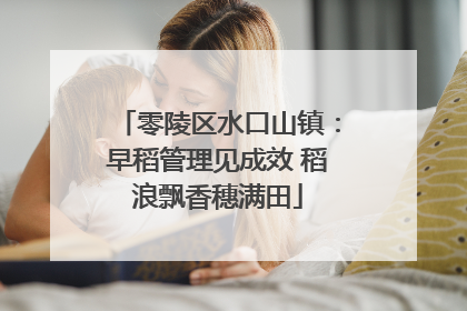 零陵区水口山镇：早稻管理见成效 稻浪飘香穗满田