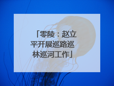 零陵：赵立平开展巡路巡林巡河工作