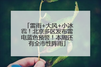 雷雨+大风+小冰雹！北京多区发布雷电蓝色预警！本周还有全市性阵雨