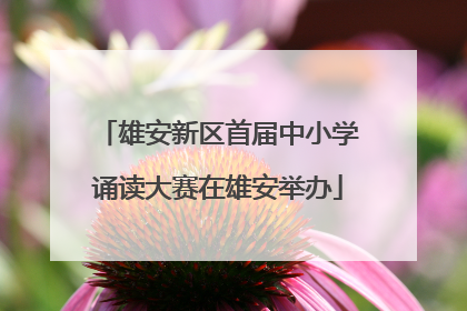 雄安新区首届中小学诵读大赛在雄安举办