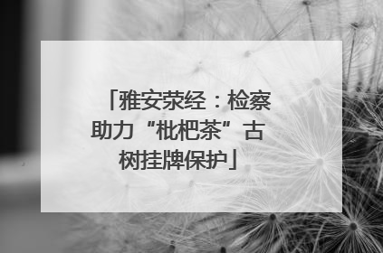 雅安荥经：检察助力“枇杷茶”古树挂牌保护