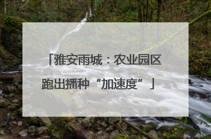 雅安雨城：农业园区跑出播种“加速度”