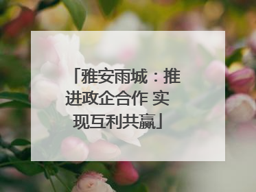 雅安雨城：推进政企合作 实现互利共赢