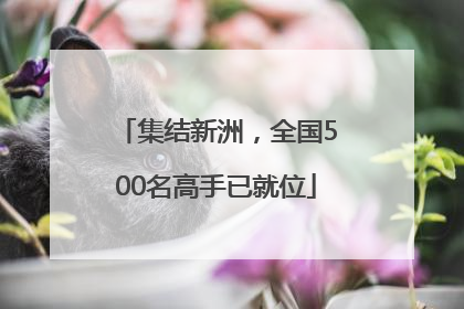 集结新洲，全国500名高手已就位