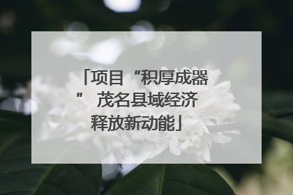 项目“积厚成器” 茂名县域经济释放新动能