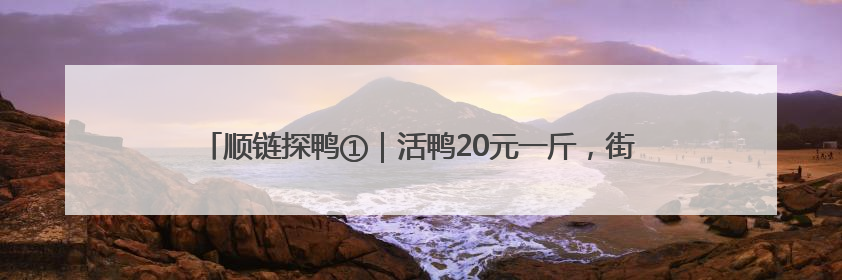 顺链探鸭①｜活鸭20元一斤，街头烤鸭为何却能卖到20多元一只