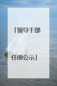领导干部任前公示