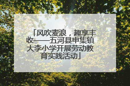 风吹麦浪，趣享丰收——五河县申集镇大李小学开展劳动教育实践活动
