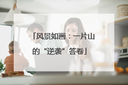 风景如画：一片山的“逆袭”答卷
