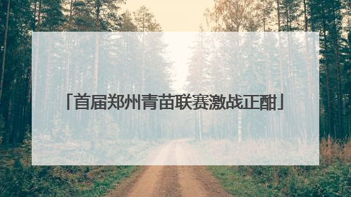 首届郑州青苗联赛激战正酣