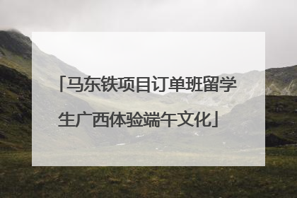 马东铁项目订单班留学生广西体验端午文化