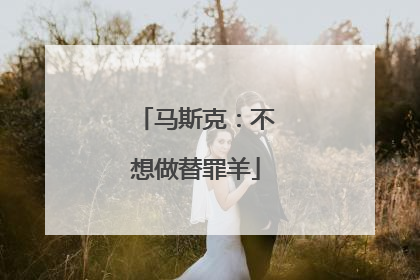 马斯克：不想做替罪羊