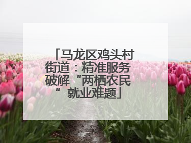 马龙区鸡头村街道：精准服务破解“两栖农民”就业难题