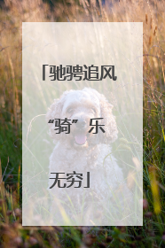 驰骋追风 “骑”乐无穷
