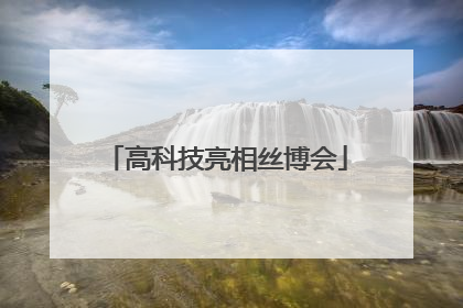 高科技亮相丝博会