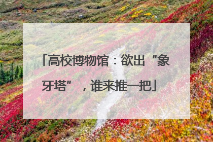 高校博物馆：欲出“象牙塔”，谁来推一把
