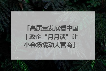 高质量发展看中国｜政企“月月谈”让小会场撬动大营商
