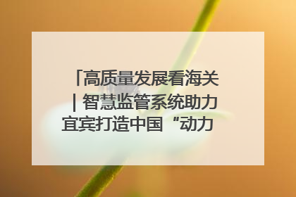 高质量发展看海关｜智慧监管系统助力宜宾打造中国“动力电池之都”