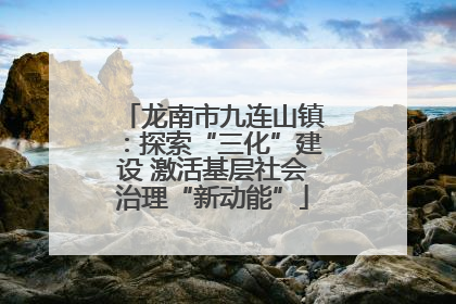 龙南市九连山镇：探索“三化”建设 激活基层社会治理“新动能”