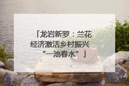 龙岩新罗：兰花经济激活乡村振兴“一池春水”