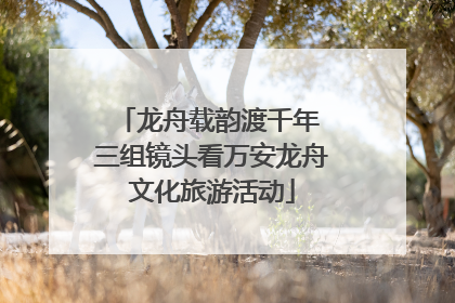龙舟载韵渡千年 三组镜头看万安龙舟文化旅游活动