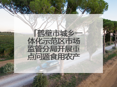 鹤壁市城乡一体化示范区市场监管分局开展重点问题食用农产品专项整治