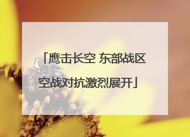 鹰击长空 东部战区空战对抗激烈展开