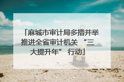 麻城市审计局多措并举推进全省审计机关 “三大提升年” 行动